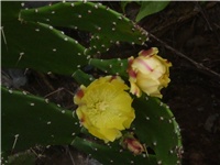 e742ce79-Picture 5236.jpg
